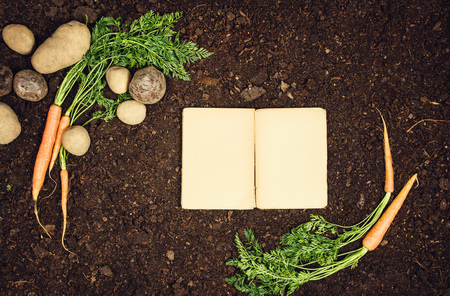 Raw, natural food background. Vegetables, carrot top view on natural soil background. Photograph taken from above, with dirt, soil. Vintage gardening concept with copy spaceの写真素材