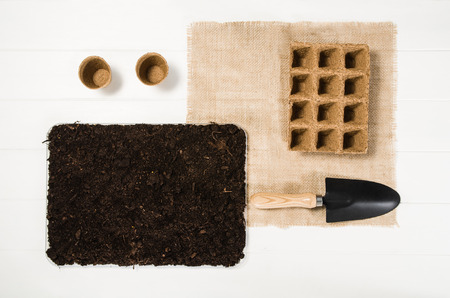 Gardening tools top view on white wooden planks background with copy space around products. Border with place for text. Gardening or planting concept seen from above. Working in a clean indoor garden.の写真素材