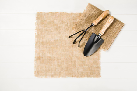 Gardening tools top view on white wooden planks background with copy space around products. Border with place for text. Gardening or planting concept seen from above. Working in a clean indoor garden.の写真素材
