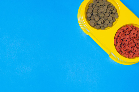 Dry dog food in bowl on blue background top view. Pet feeding concept backgrounds with copy space....