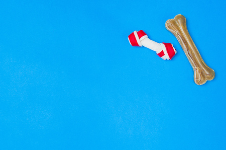 Dry dog food in bowl and pet accessories on blue background top view. Pet feeding concept backgrounds with copy space. Frame composition.の写真素材