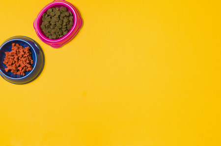 Dry dog food in bowl and pet accessories on yellow background top view.の写真素材