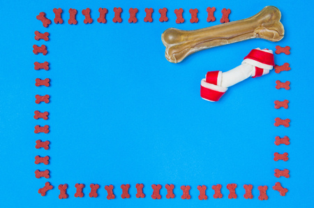 Dry dog food and pet accessories on blue background top view.