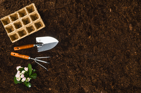 Gardening tools on fertile soil texture background seen from above, top view. Gardening or planting concept. Working in the spring garden.の写真素材