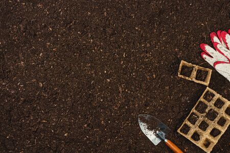 Gardening tools on fertile soil texture background seen from above, top view. Flat lay gardening or planting concept. Working in the spring garden.