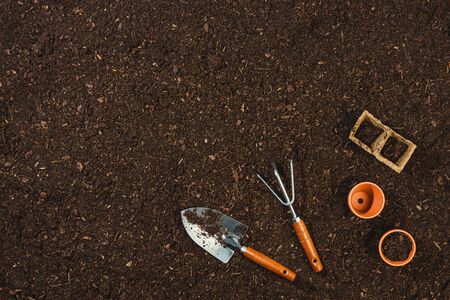 Gardening tools on soil texture background top view.の写真素材