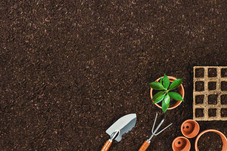 Gardening tools on fertile soil texture background seen from above, top view. Gardening or planting concept. Working in the spring garden. Flat lay mockup with border compositionの写真素材