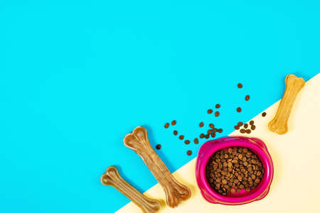 Dog pet food and accessories on blue background top view.
