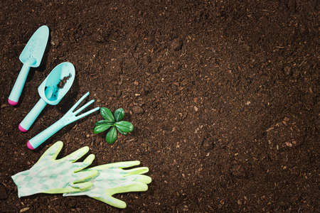 Gardening tools on fertile soil texture background top view.