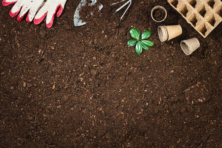 Gardening tools on fertile soil texture background top view.