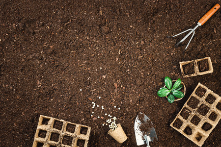 Gardening tools on fertile soil texture background top view.の写真素材