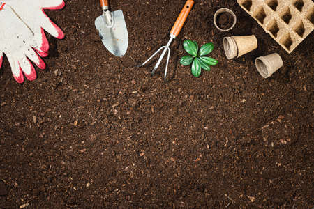 Gardening tools on fertile soil texture background top view.の写真素材