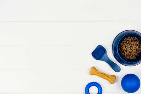 Dog pet food and accessories on white background top view.の写真素材