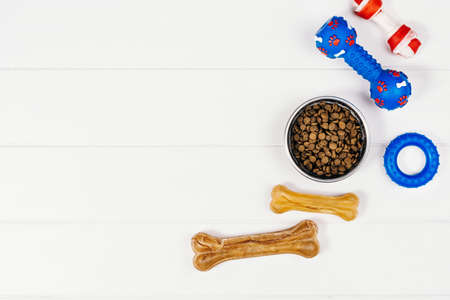 Dog pet food and accessories on white background top view.の写真素材