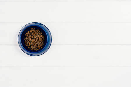 Dog pet food and accessories on white background top view.の写真素材
