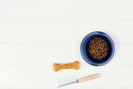 Dog pet food and accessories on white background top view.の写真素材
