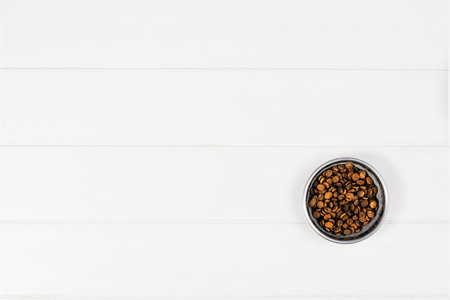 Dog pet food and accessories on white background top view.の写真素材