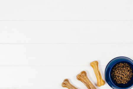 Dog pet food and accessories on white background top view.の写真素材
