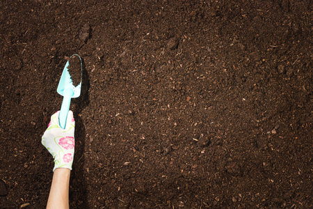 Gardening tools on fertile soil texture background top view.の写真素材