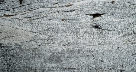 Black and white wood textureの写真素材