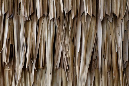 Thatch roof background hay or dry grass background.の写真素材