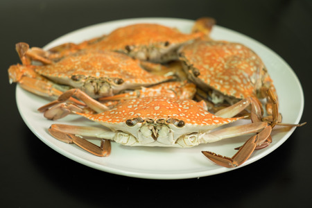 Streamed crab  on black backgroundの写真素材