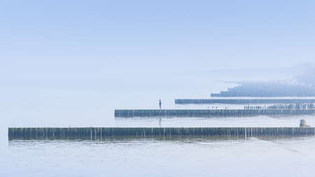 The lonely seaside of Zelenogradsk city (previously known as Kranz or Cranz)の写真素材