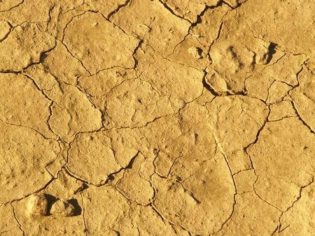 Dried up mud in the desert during drought