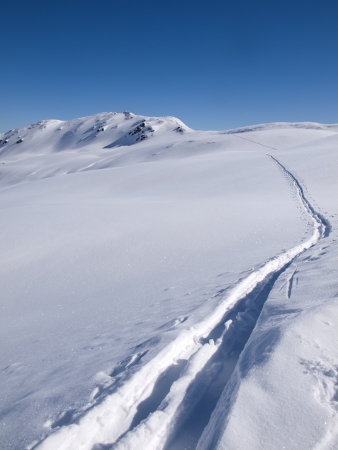 Deep skiing tracks in the snow on the alps at Koenigsleiten Austriaの写真素材