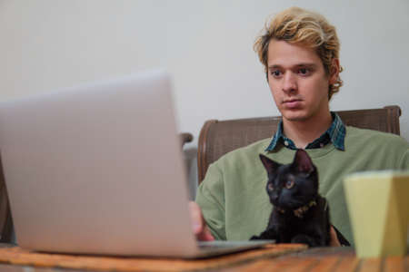 Blond man looking attentively at his laptop in the dining room while his cat accompanies him and also observes the screenの写真素材