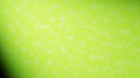 Background with lemon yellow or light green pores with small white spots. 3D renderingの写真素材