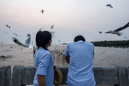 Backside of Asian boy and girl wore couple shirt that looked at seagulls at bangpu recreation center in Samut Prakan province Thailandの写真素材
