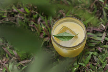 Top view of a glass of signature yellow drink decorated with a basil leaf with grass backgroundの写真素材