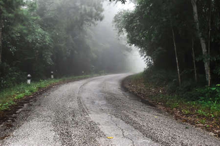 The way of Phu Ruea National park in raining day in Loei province Thailandの写真素材