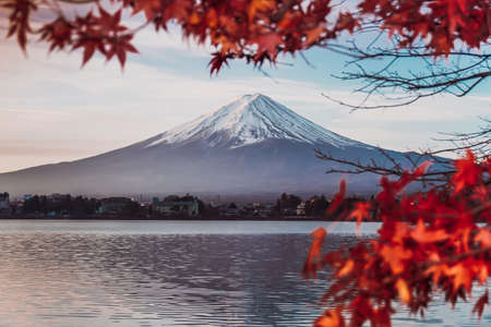 Maple leaves and Mount Fujiの写真素材
