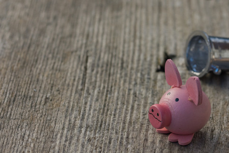 new year's gift - symbolic pigの写真素材