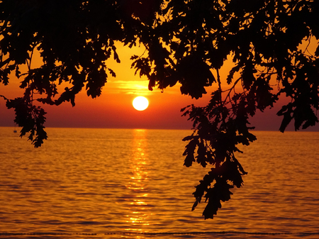 beautiful ocean sunset with silhoutteの写真素材