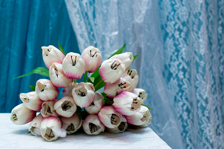 tulipの写真素材