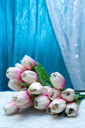 tulipの写真素材