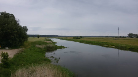 Warta near Skwierzynaの写真素材