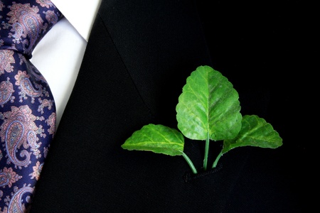 Black suit, shirt and tie with three green leaves on lapelの写真素材