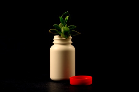 Small green plant in white pill bottle with red cap on black backgroundの写真素材