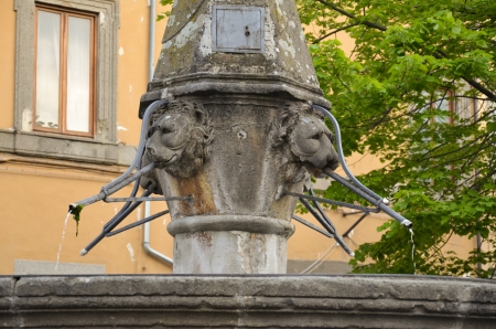 Detail of the fountain of San Faustinoの写真素材