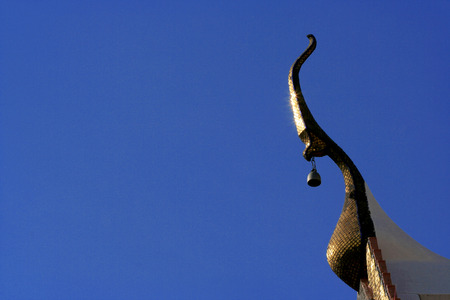 Chofa sky tasselの写真素材
