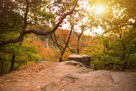 Viewpointの写真素材