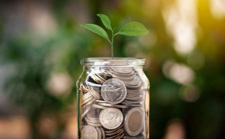 Jar of coins showing grown up money with sun light bokeh background for business concept of saving...