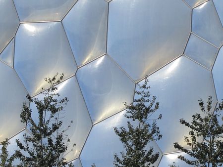 Trees beside the Beijing National Aquatics Center wallのeditorial素材