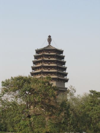 Trees in front of towerの写真素材
