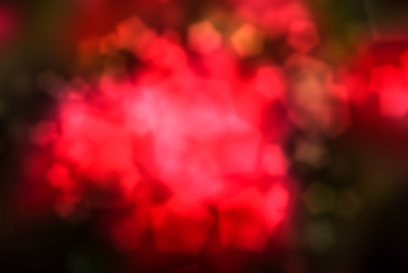 Pink bokeh lights on background flower gardenの写真素材