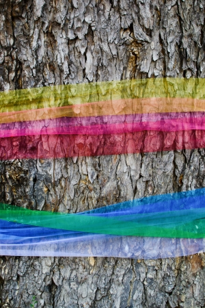 Cloth wrapped around the tree barkの写真素材